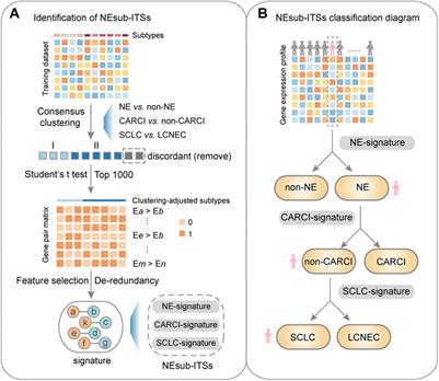 Hierarchical identification of a transcriptional panel for the histological diagnosis of lung neuroendocrine tumors